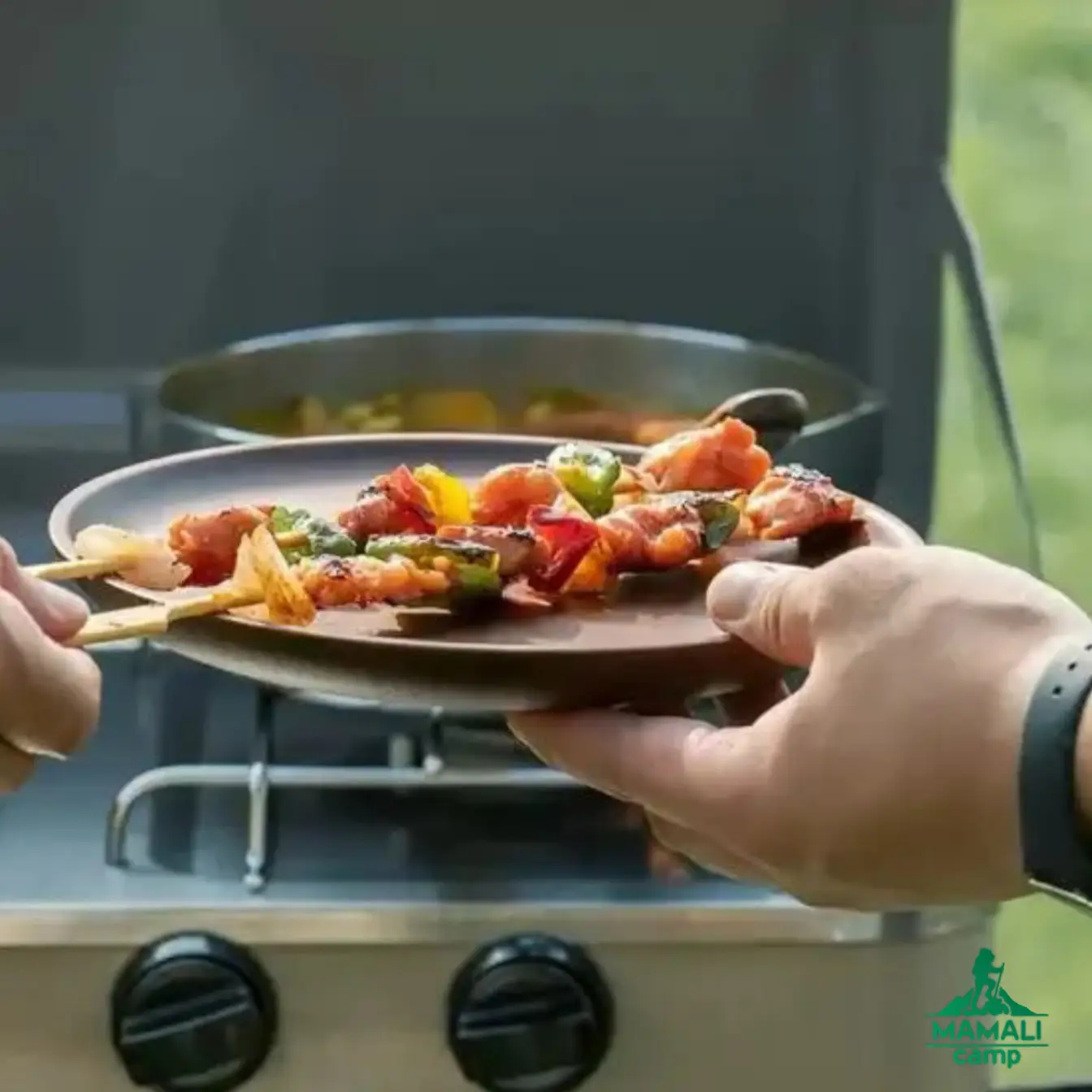 بشقاب چوبی سفری نیچرهایک مدل NH20CJ013 اورجینال