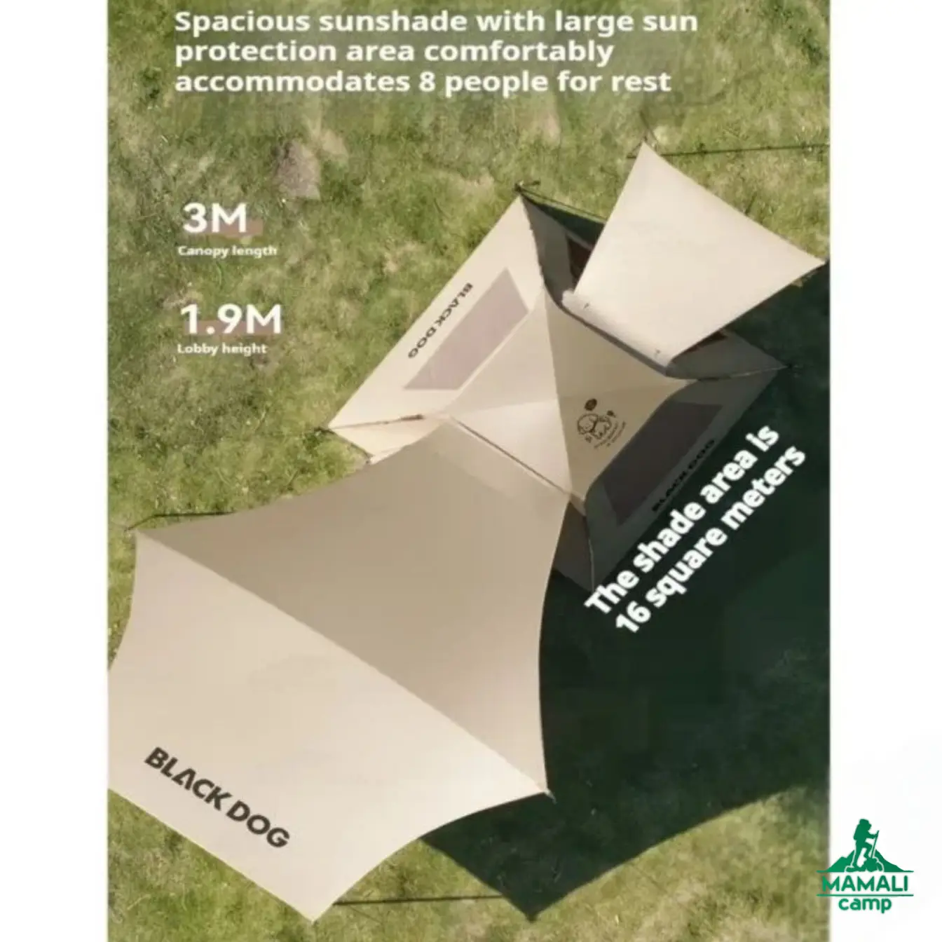 چادر اتوماتیک بلک داگ  اورجینال مدل  CBD2550WS016 سری Leisure 2.1 Base