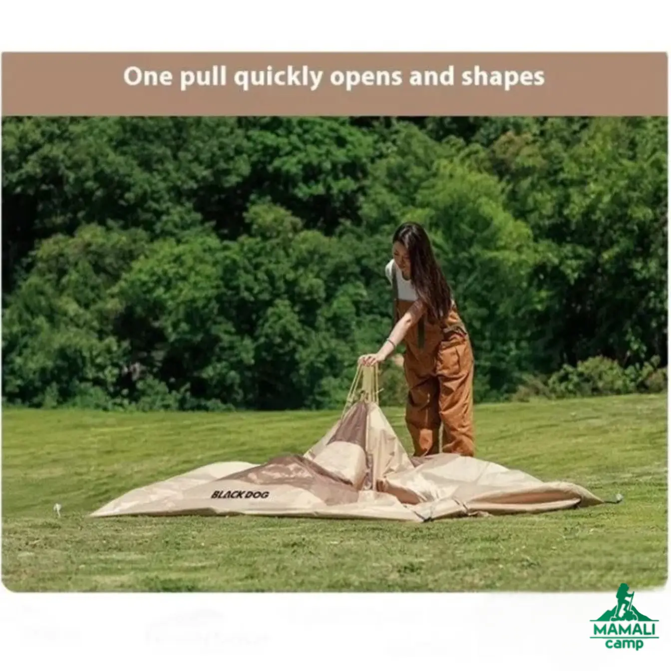 چادر اتوماتیک بلک داگ  اورجینال مدل  CBD2550WS016 سری Leisure 2.1 Base
