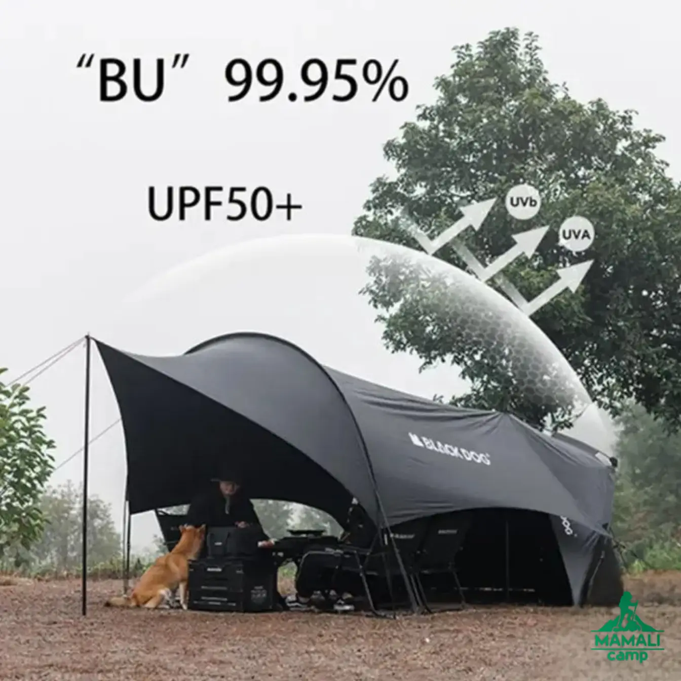 سایبان مسافرتی بلک داگ مدل CBD2450WS047 اورجینال