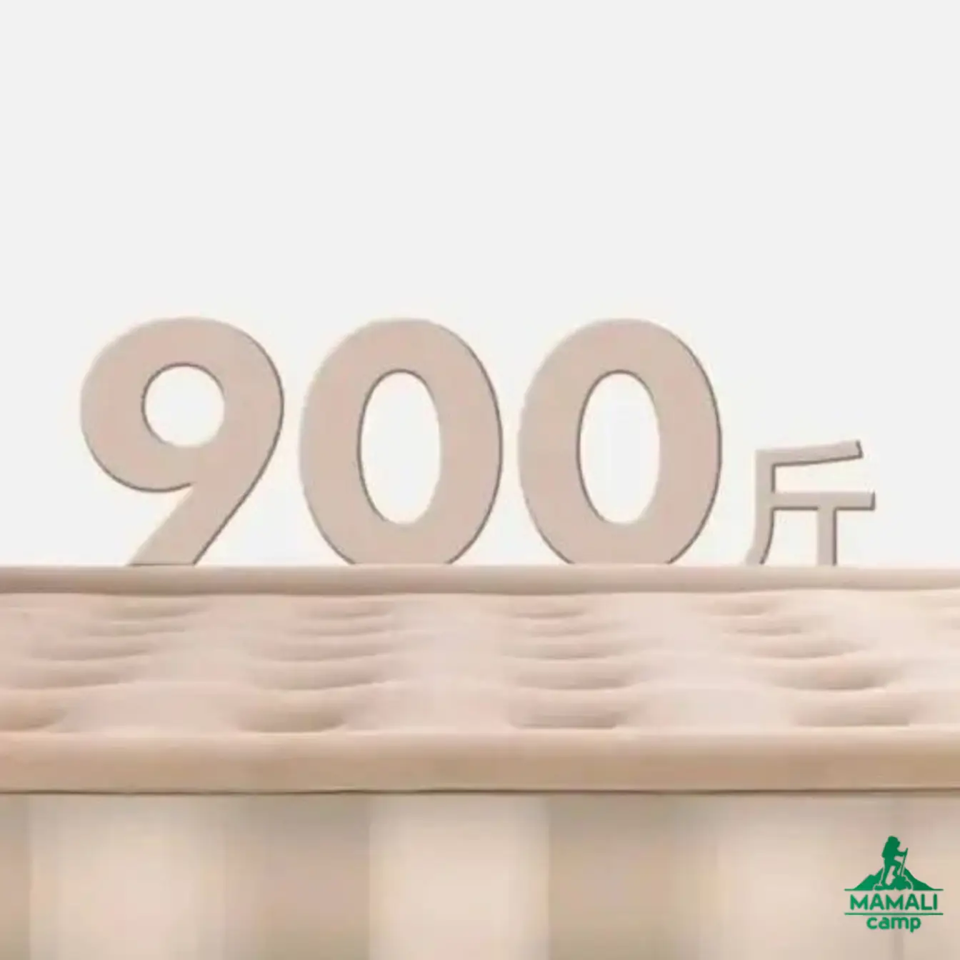 تشک بادی 2 نفره بلک داگ مدل CBD2550WS040 اورجینال