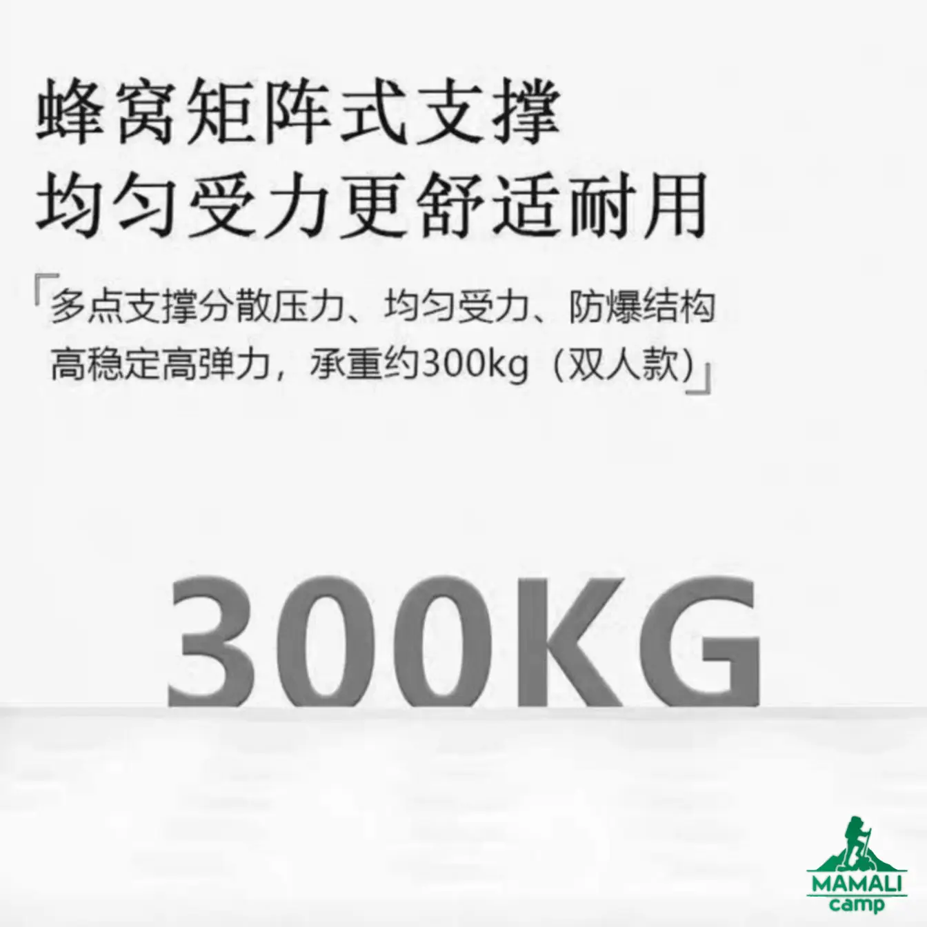 تشک بادی پمپ دو نفره کینگ هایک اورجینال