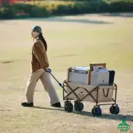 چرخ دستی تاشو نیچرهایک مدل NH19PJ001 اورجینال