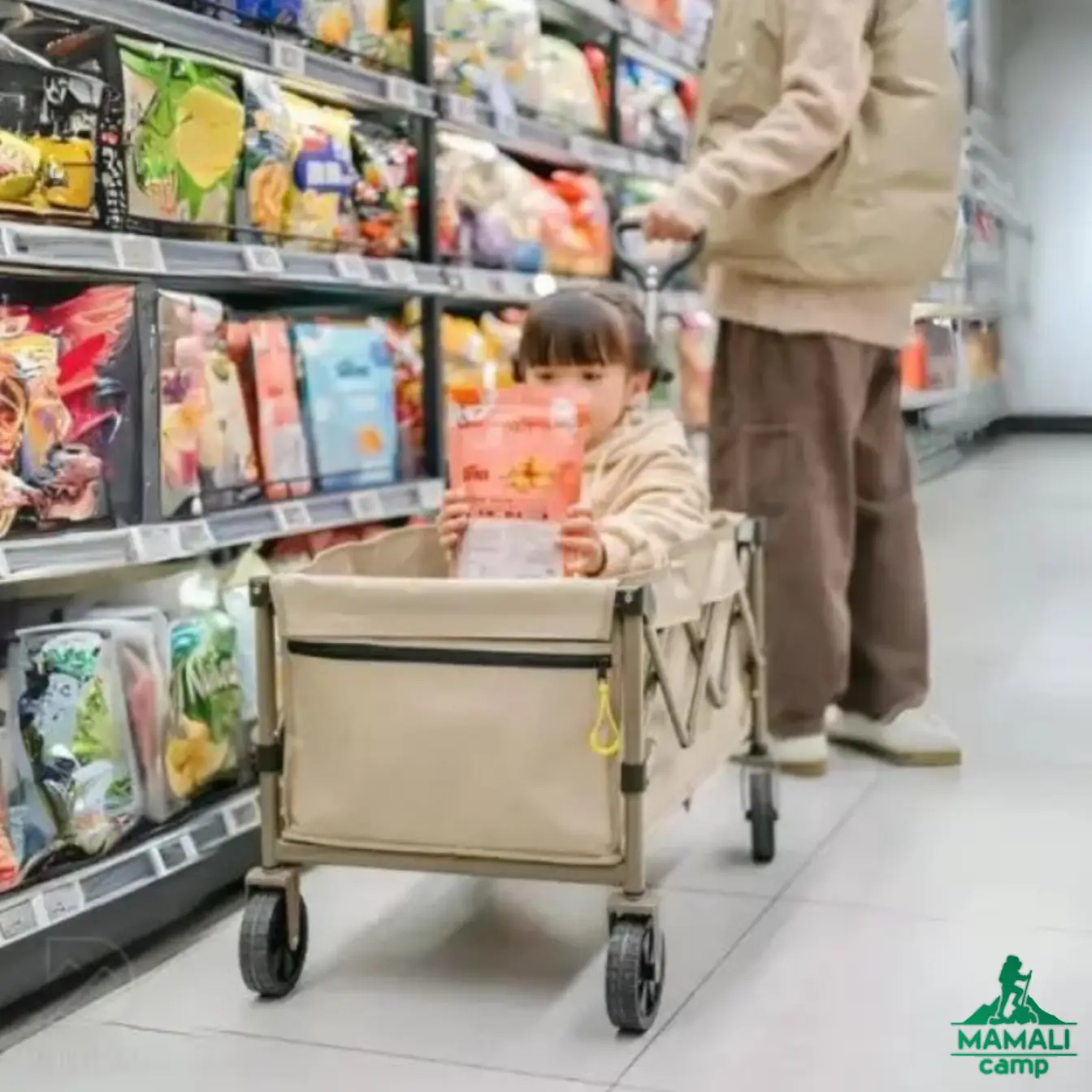 چرخ دستی تاشو نیچرهایک مدل CNK2350JJ012 اورجینال