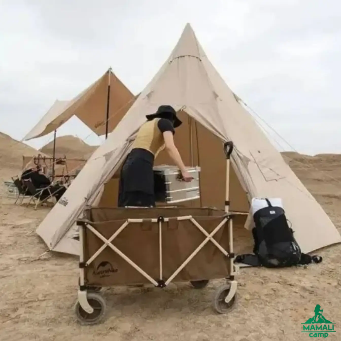 چرخ دستی تاشو TC02 نیچرهایک مدل NH20PJ005 اورجینال