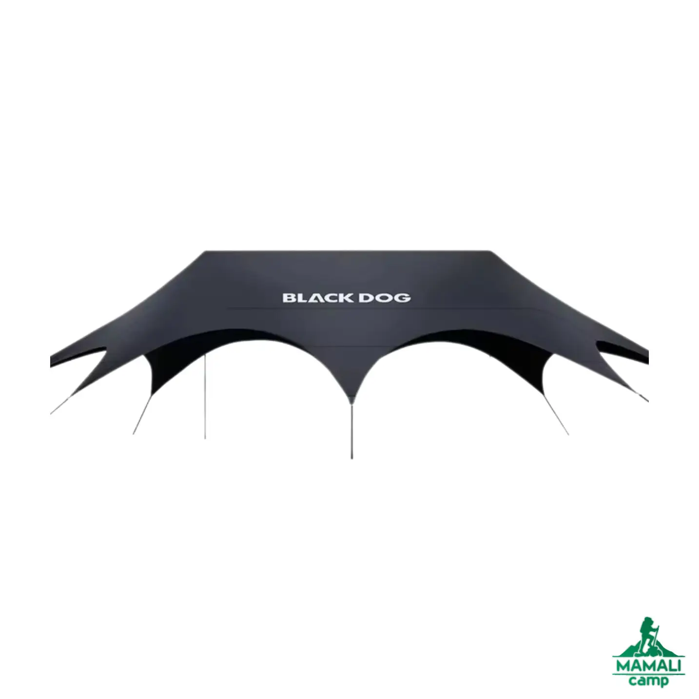 تارپ سایبان کمپینگ بلک داگ CBD2550WS027