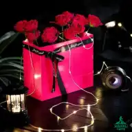 چراغ ریسه ای کمپینگ بلک‌ داگ مدل CBD2450ZM017 اورجینال