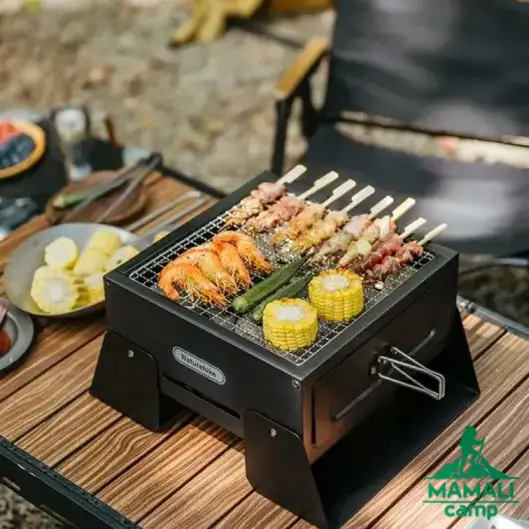 باربیکیو نیچرهایک مدل CNK2450CF017
