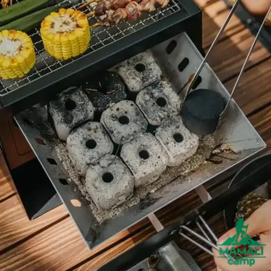 باربیکیو نیچرهایک مدل CNK2450CF017