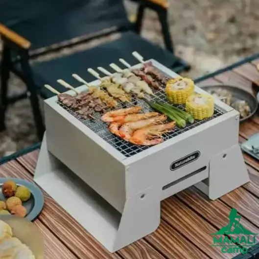 باربیکیو نیچرهایک مدل CNK2450CF017