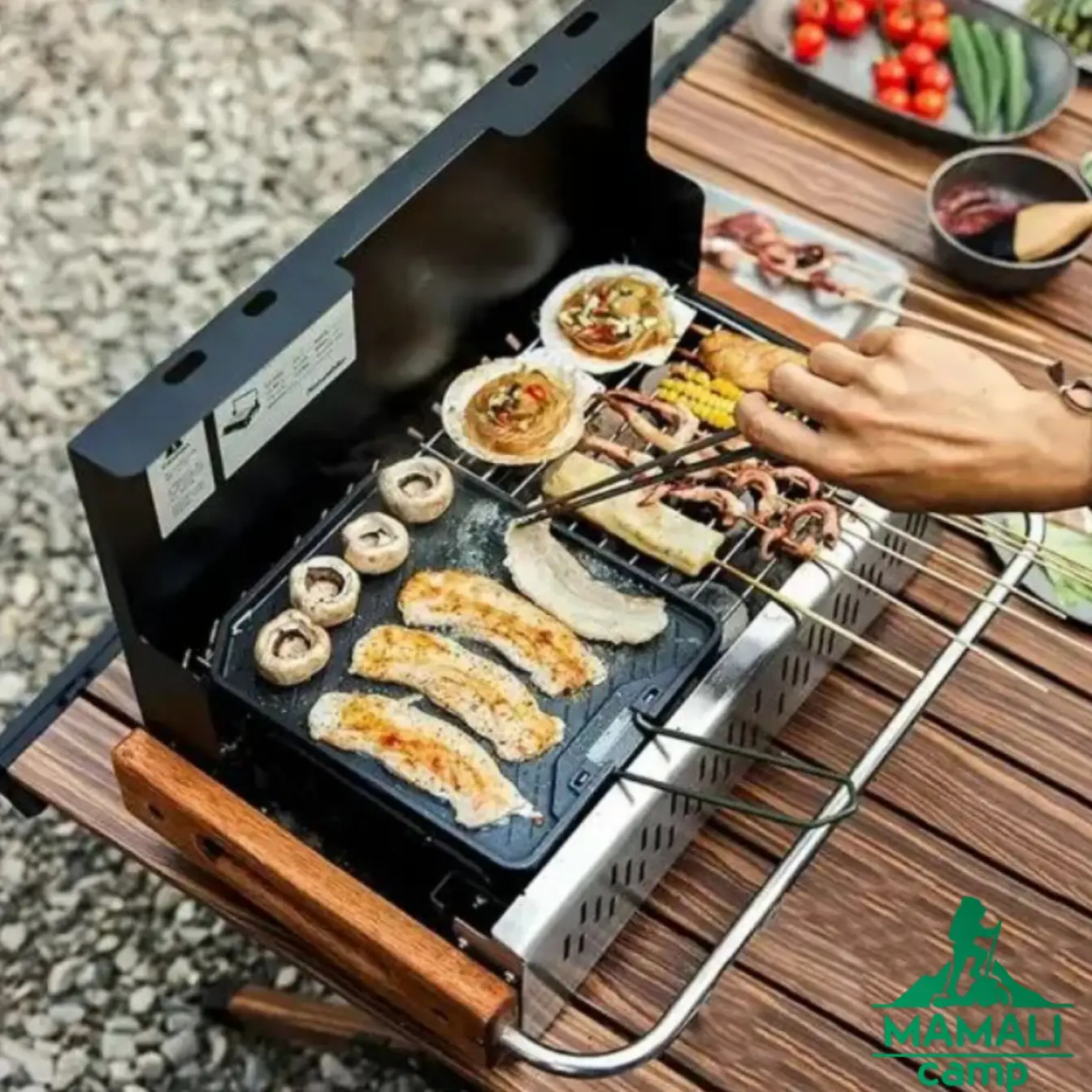صفحه گریل نیچرهایک مدل CNK2300CJ016