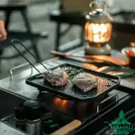 صفحه گریل نیچرهایک مدل CNK2300CJ016