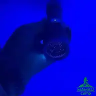 چراغ قوه یووی UV اسمال سان مدل ZY-H26